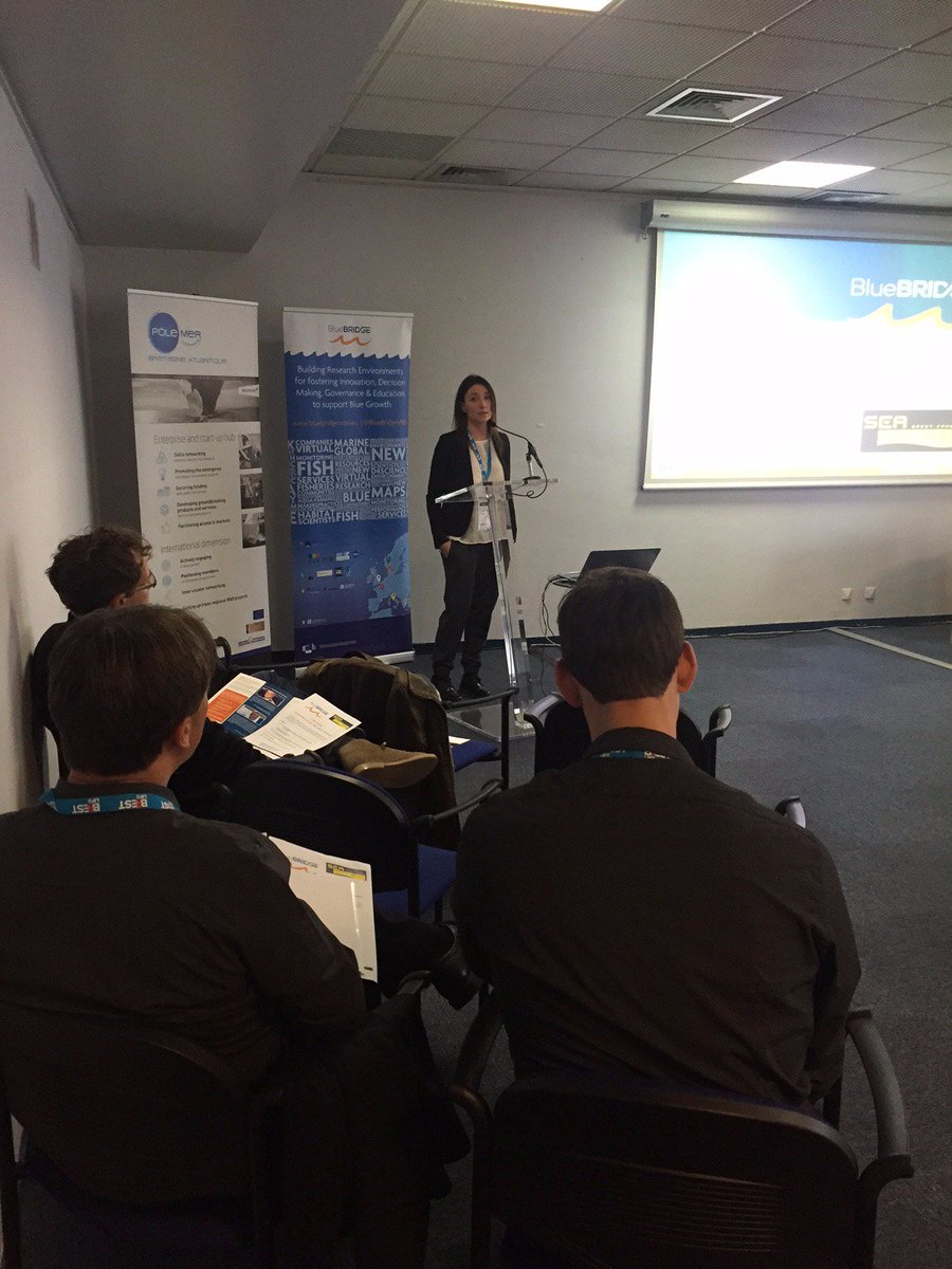 BlueBridgeVREs's tweet photo. BlueBRIDGE workshop @ #SeaTech2016: live NOW from Brest! https://t.co/hfC3QItIZ6