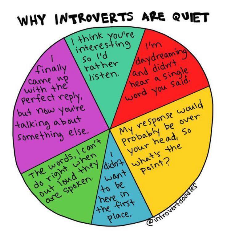 susancain's tweet photo. I love this graphic so much. For you introverts out there, why are YOU quiet? (via @IntrovertDoodle) https://t.co/84klmFM024