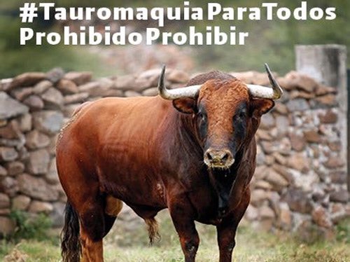 Humberto Ruiz Prado tweet media