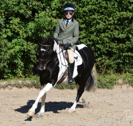 New pony! Alice. Wining novice dressage last Sunday <a href="/HarryHallRiding/">Harry Hall</a>