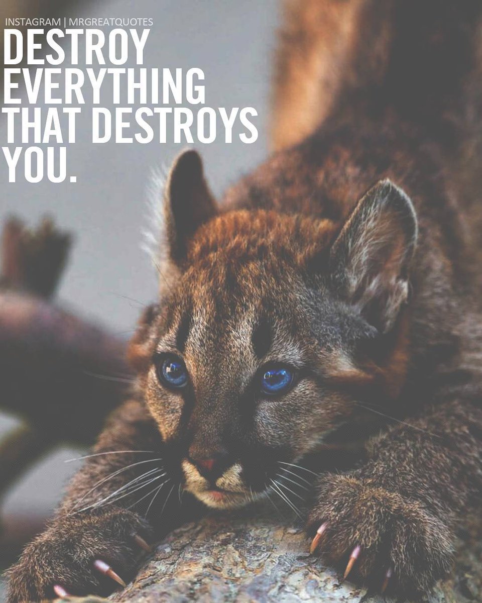 Fit_Motivator's tweet photo. #ThursdayThoughts https://t.co/5kjyR4wCZZ