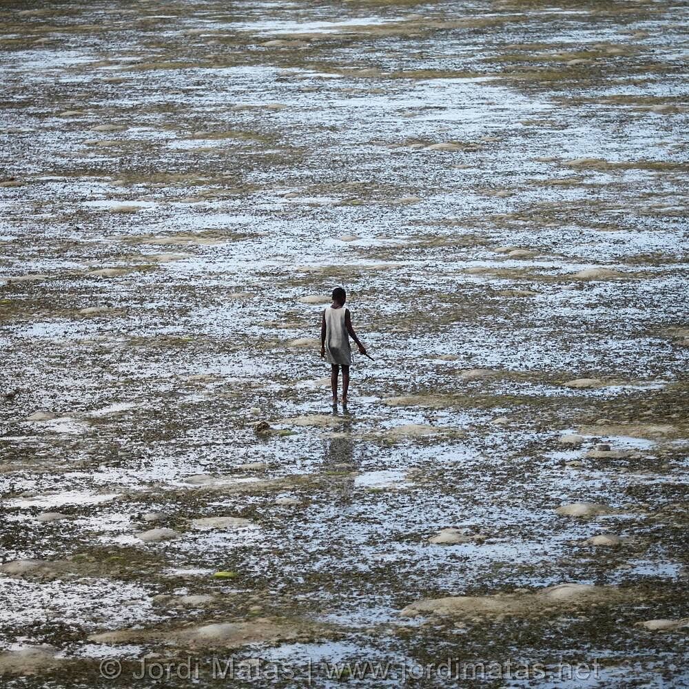 JordiMatas's tweet photo. A girl from a township outside of #Lumbo walks in the shallow pools during low tide betwee… https://t.co/P0EozLzdKy https://t.co/HZNt85SWxc