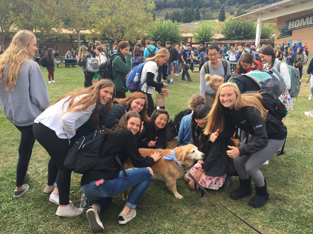 MiramonteHS's tweet photo. Dogs make Matadors smile. https://t.co/mXnGqEv6u4