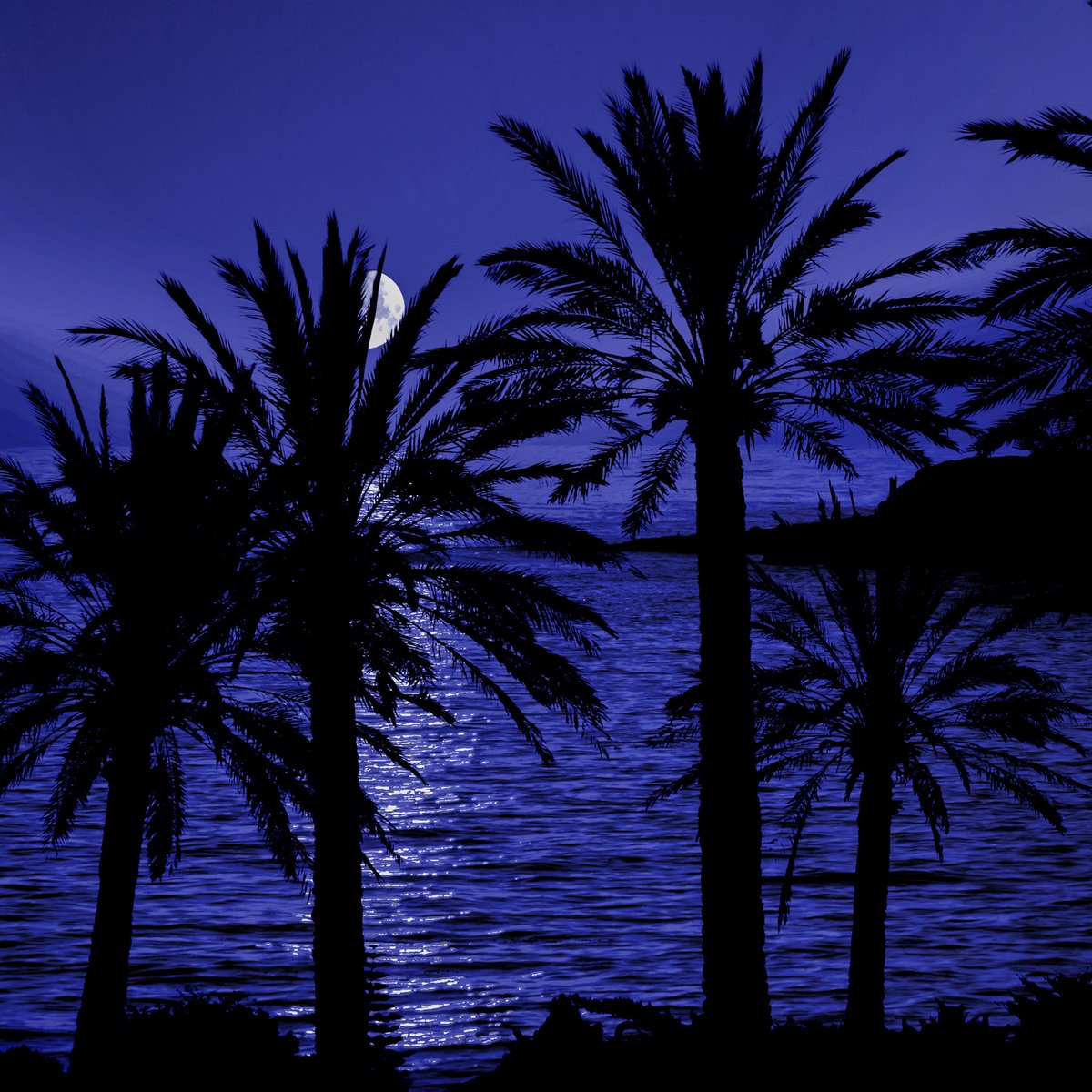 Naturespace tweet media