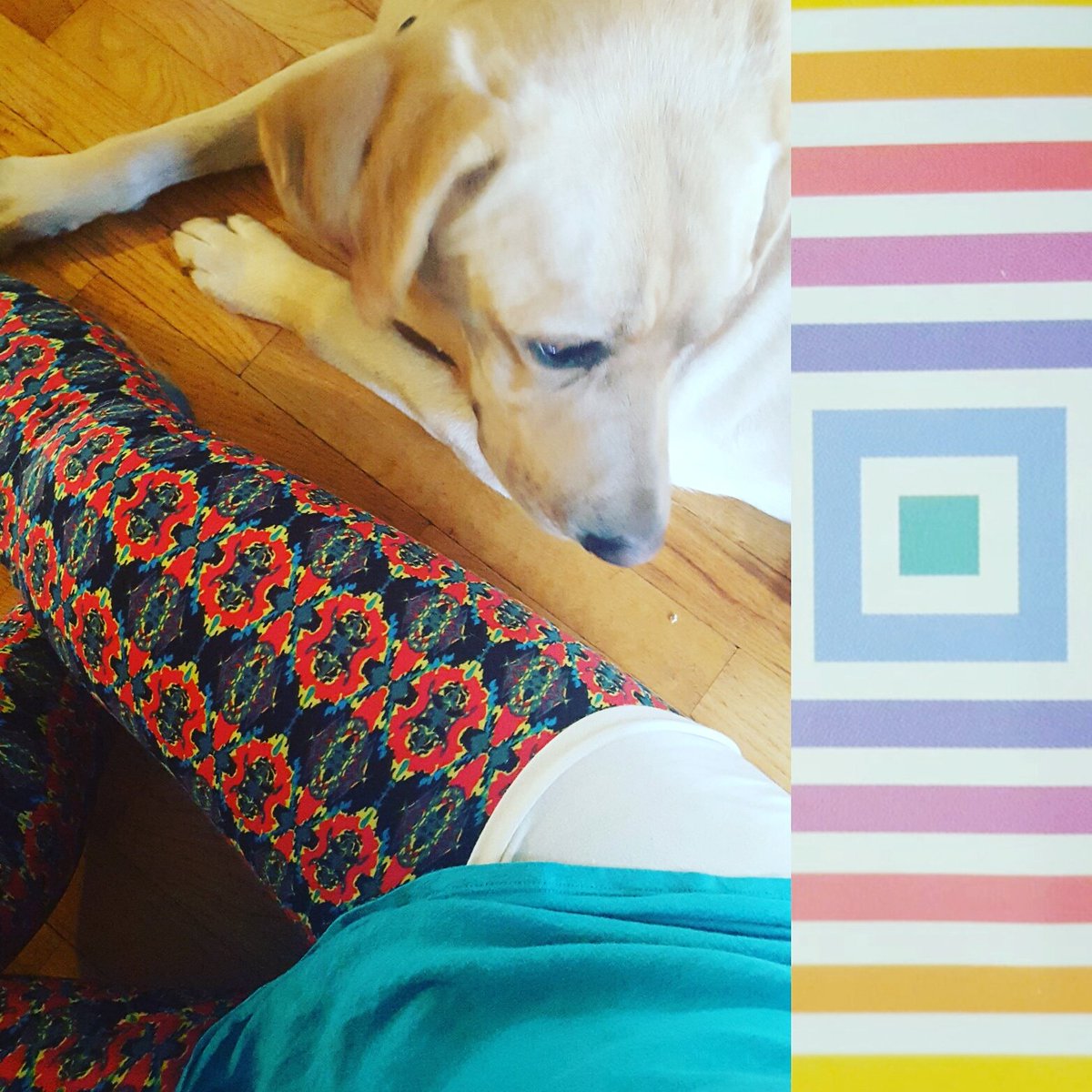 samiam9223's tweet photo. Two of the newest #lularoe fans. https://t.co/grHUVbDUPP
