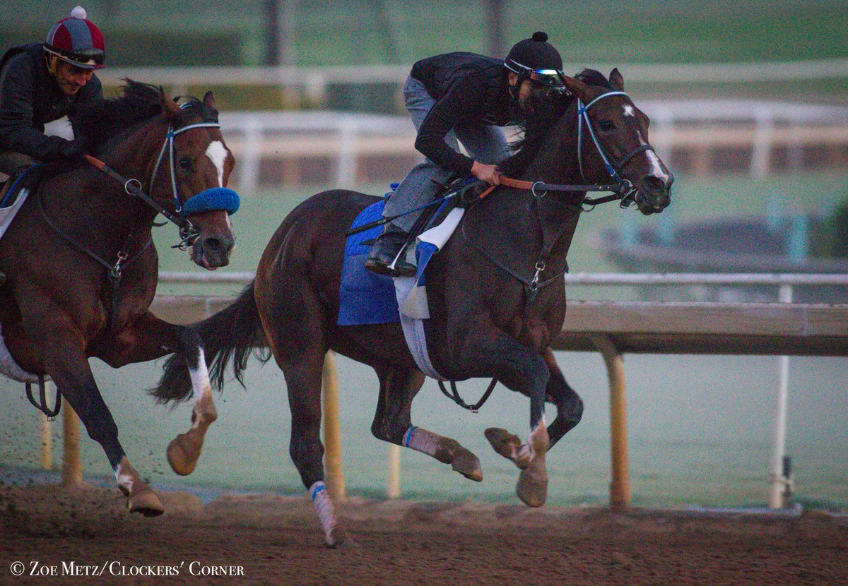 1st_racing's tweet image. SONGBIRD worked the bullet for 5 furlongs being timed in :58.60 @santaanitapark. #BCDistaff