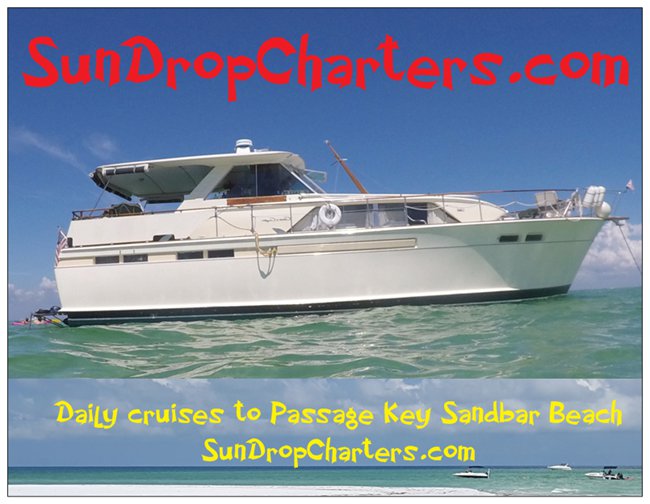 SunDropCharters's tweet image. @sundropcharters Post All Hallows Ball Yacht Island Beach Party Sun Oct 16 11am-5 BYOB Only $45/person
#AllHallowsBall #ShowMeYourMonster