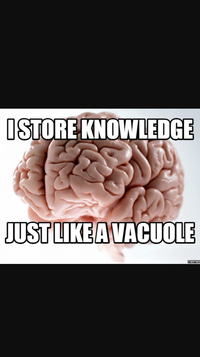 cool_vacuole's tweet photo. https://t.co/M23ICFtdSj
#organelleelection2k16 https://t.co/3EpAoiYkPL