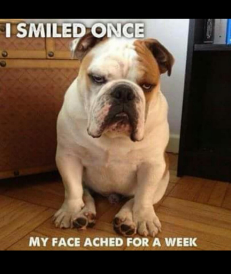 MKAneal's tweet photo. Today - smile! 😊 https://t.co/v2Ank00IMh