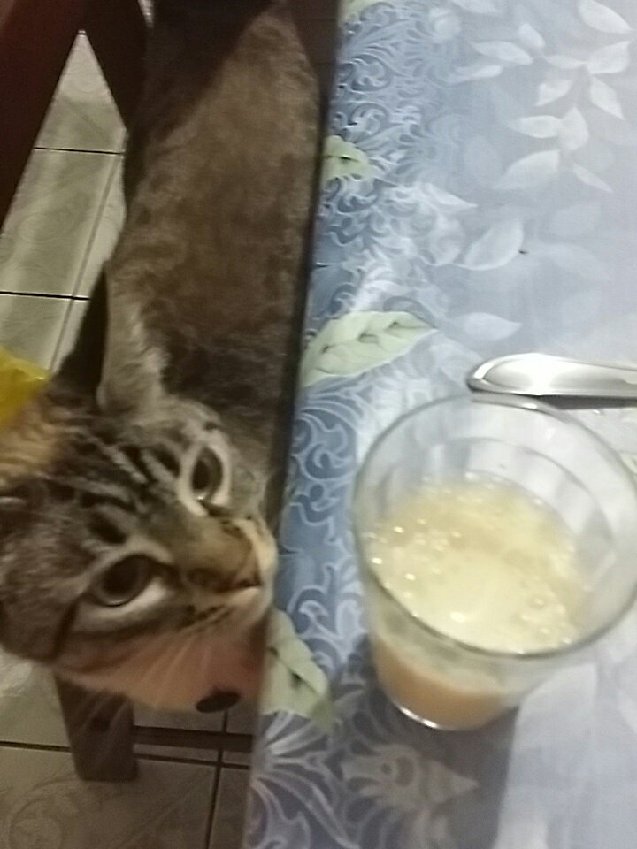 AnyMapper's tweet image. #Meucafe #Meusuco

By:Seu_User_Name