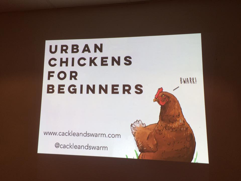 cackleandswarm's tweet photo. #Chicken cuddles and coffee at last night's @cardiffsquirrel workshop. Thanks for coming everyone! @GreenCityEvents https://t.co/G4CCn04uQC
