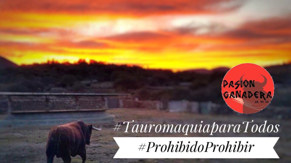 PASIÓN GANADERA tweet media