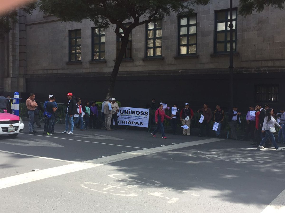 MVSNoticias's tweet photo. ATENCIÓN Integrantes de #UNIMOSS y el #CAP comienzan a concentrarse en las inmediaciones de la @SCJN https://t.co/dqqS7koYCt