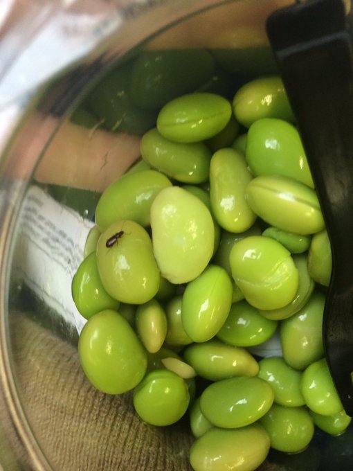 Not sure how I feel about sharing my edamame with this little guy ☹️👀🐜 @coopukfood @coopuk https://t<a href="/tag/newyearnewhair"class="tags"><span>#newyearnewhair</span></a>