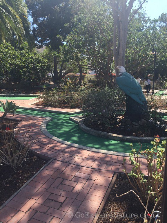 First-timer's guide to #CatalinaIsland with kids via <a href="/GoExploreNature/">Debi Huang</a>! Mini golf, glass bottom boat &amp; more! ow.ly/rald3059qaG