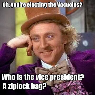 cytoesqueleto's tweet photo. @cool_vacuole 👀👀☠️ https://t.co/oEaSqy4skf