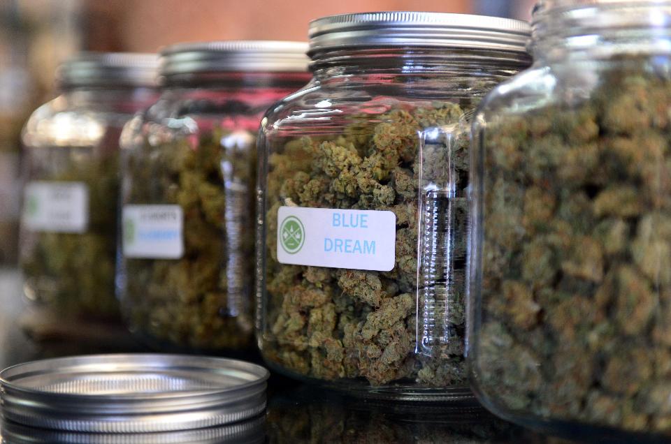 mmjrecs's tweet photo. Medical Marijuana Seems To Reduce Deaths From Pharmaceuticals https://t.co/tmgSx0EXHh #medicalmarijuana #cannabis #alternativemedicine #mmj https://t.co/MMGQRJB1nu