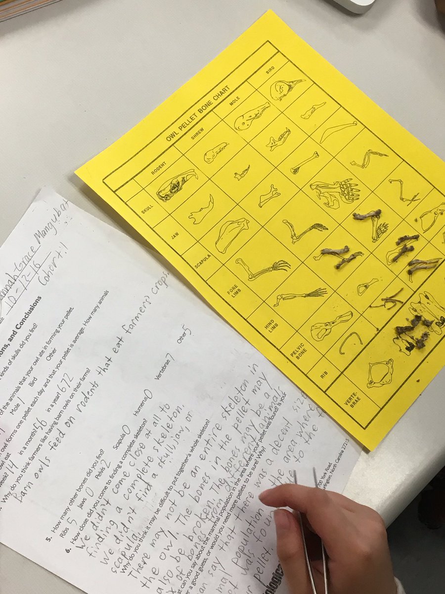Our scholars enjoying themselves while learning in their biology class! Their excitement is contagious! <a href="/AHS_OwlsNest/">AHS @ PGCC</a>