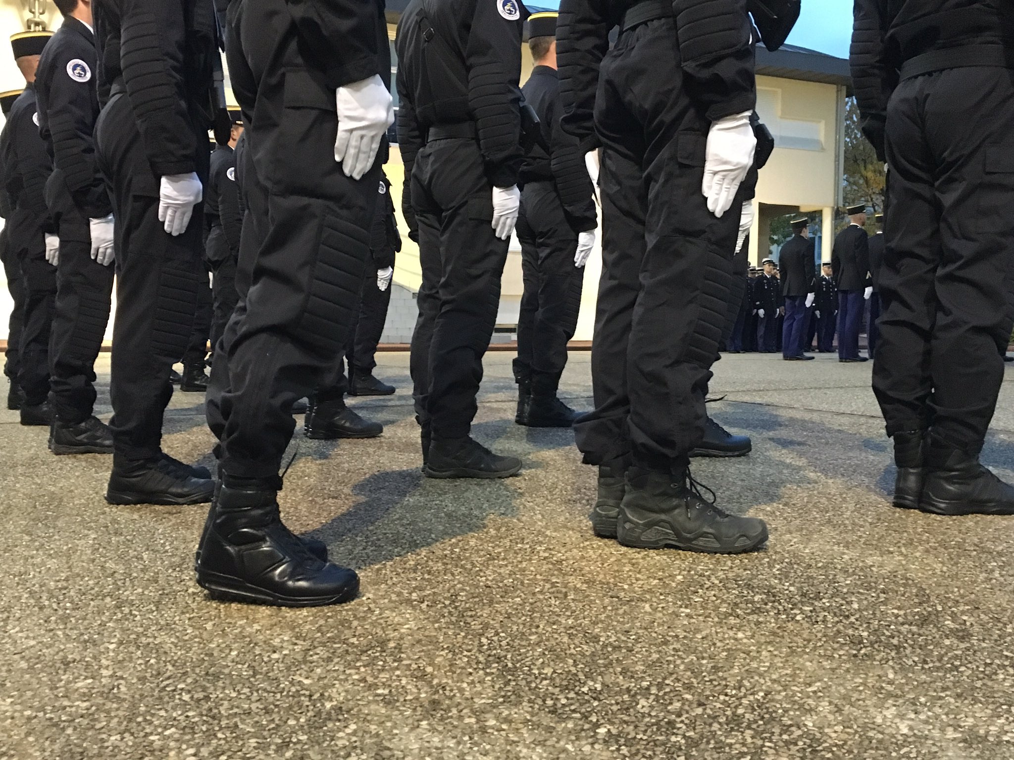 Chaussure gign top