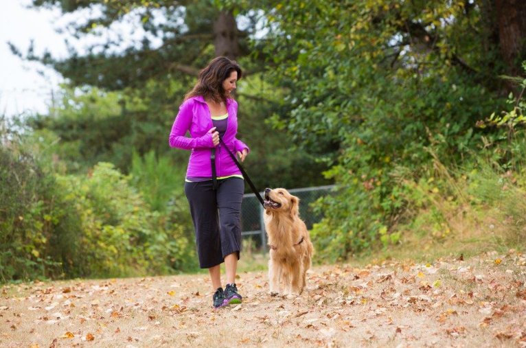 Walking #dogs helps keep owners healthy and neighborhoods feeling safe. New study from <a href="/waltham_science/">Waltham Petcare Science Institute</a> <a href="/uwanews/">UWA</a> 🐶  bit.ly/2dbzjmB