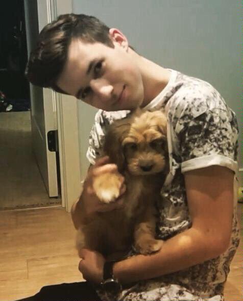nonbinaryrebel's tweet photo. When @Nickalaws first got @ImWeebo vs Now. 🐶💛 https://t.co/Oh5Jpl0HNA