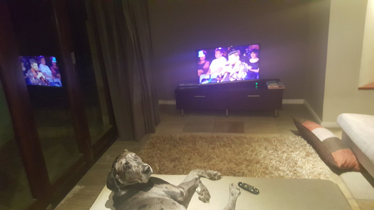 GertLoubser's tweet photo. Watching the wonderful choir from UJ performing "fever". Awesomeness #VarsitySing #reinettebouwer @kykNETtv https://t.co/mjNALjgETm