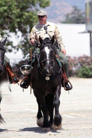 LACoSheriff32's tweet photo. #LASD Sgt Steve Owen was &amp; continues to be in our hearts...the best of us in Law Enforcement. We will never, ever forget @LANLASD @LASDHQ https://t.co/hVNQFk510A