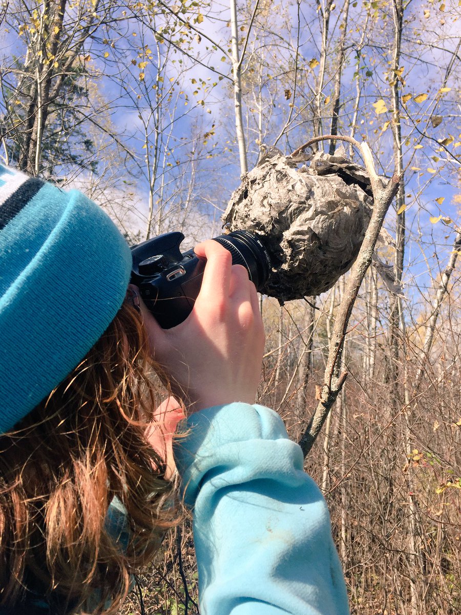MsBirdECHO's tweet photo. A few more from our nature walk! #WeeksWithoutWalls #Nature #Photography @nmcLRSD #PinePointRapids https://t.co/4QPpFhF8oG