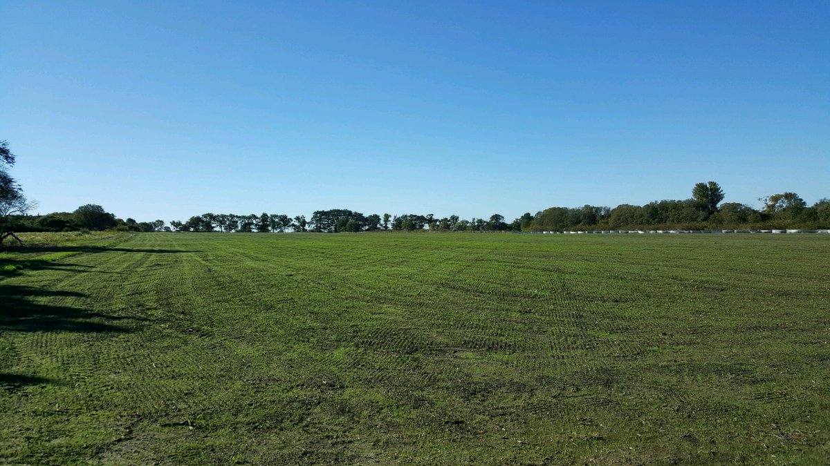 BarenbrugUSA's tweet photo. HGT and RPR 80/20, 15 days with no irrigation. #plantalegacy #greatingrass #healthygrasstechnology #regeneratingperennialrye https://t.co/S65J5ucWHV