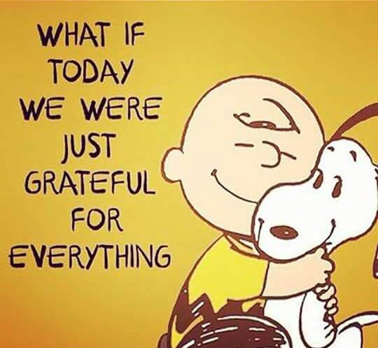 Image result for if today we were just grateful