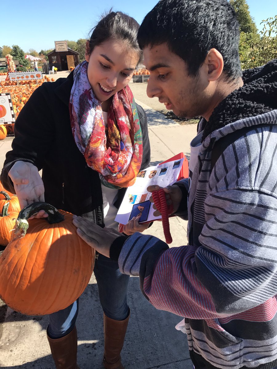 Rebecca Mancini tweet media