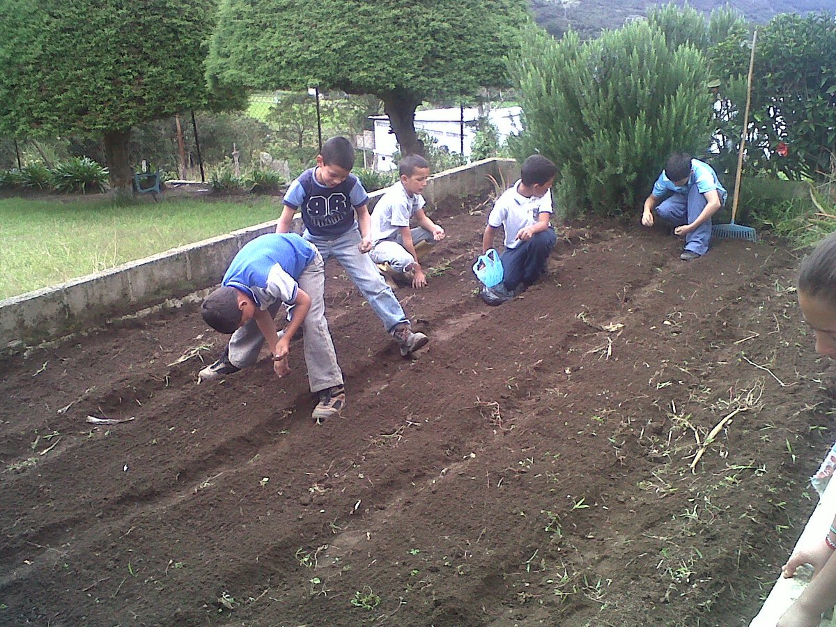 padrejusto1942's tweet photo. Huertos Escolares de la Escuela Padre Justo NER 599 https://t.co/M7c5whThGj