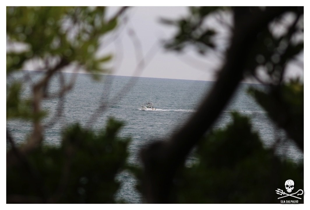 SeaShepherd404's tweet photo. Friday 14th October, could it be the 10th consecutive blue day? The boats are heading back! #tweet4taiji #coveguardians #seashepherdsscs https://t.co/nKgYKkzgzV