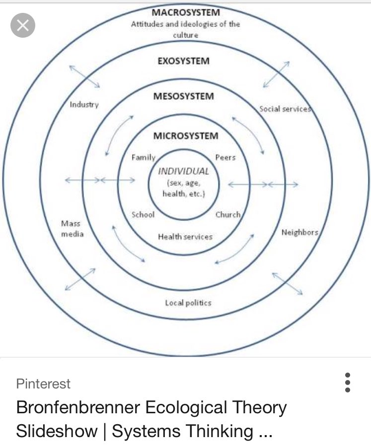 Bronfenbrenners Ecological Theory Of Development Essay