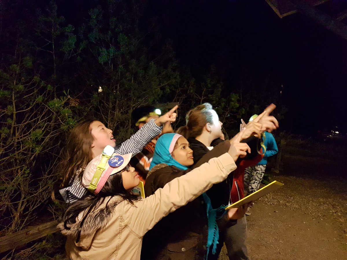 Pauline_PS14's tweet photo. Star orienteering? Find 14 hidden markers using a map...at night! #coolactivity #mappingskills #teamwork #MonoCliffs #PaulinePower #TDSB https://t.co/TRWqIQz6VH