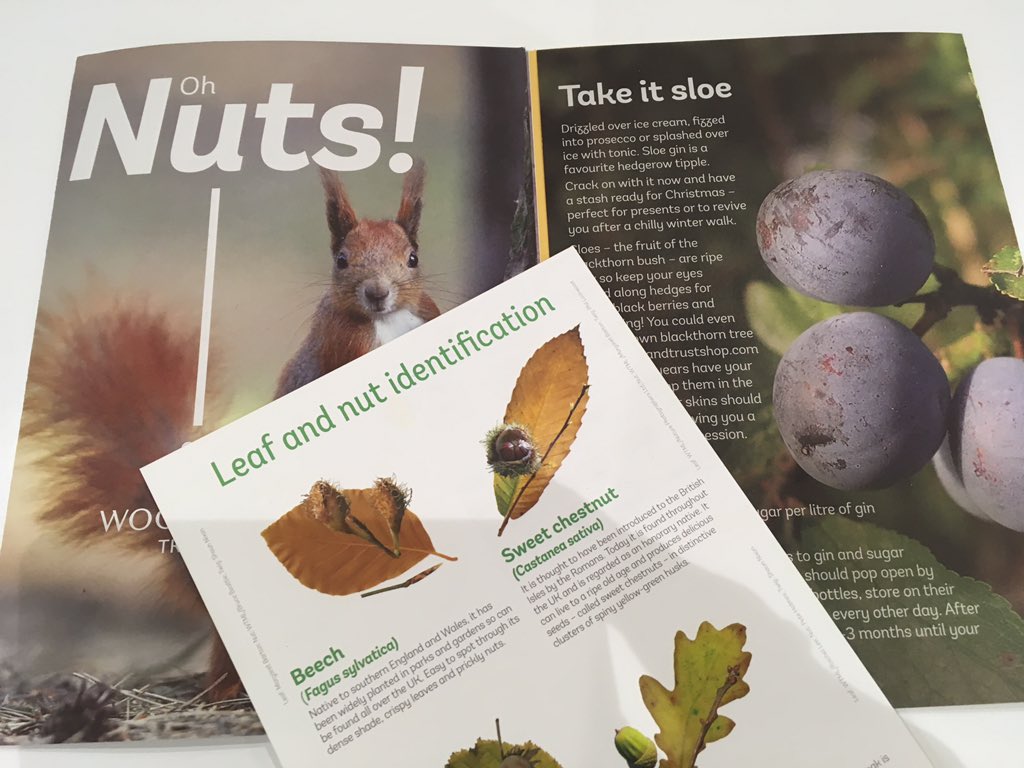 thewildmeadow's tweet image. @WoodlandTrust Thank you 😊 #ohnuts #leafid #funghiid #sloes #woods #autumn #happy #getoutside