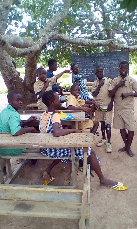 ONG_la_VIE's tweet photo. L'école primaire publique sewè de #nassian Dren #Bouna A défaut de classes les cours se déroulent sous des arbres pour les CM. #Education https://t.co/ufRDrkv7LA
