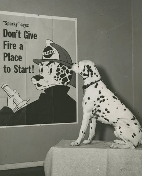 NFPA tweet media