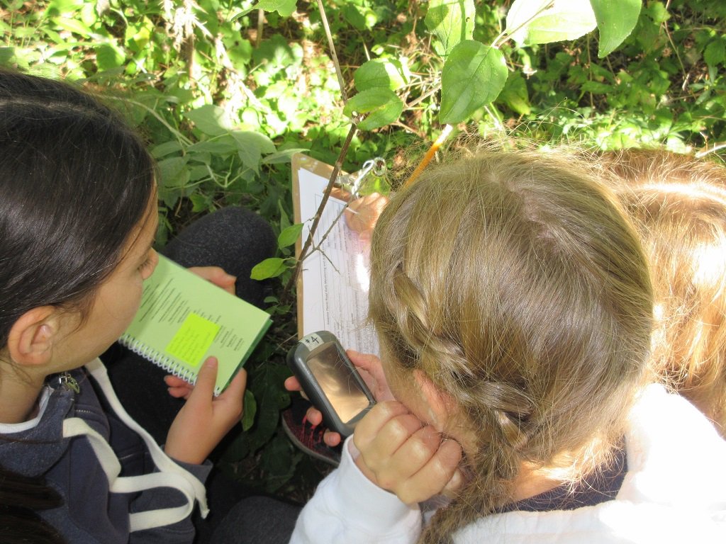 Beautiful first day at Halton Forest Festival 2016! #BrookdalePS #StDominicCES <a href="/HaltonParks/">Halton Parks</a> <a href="/HaltonDSB/">HDSB</a> <a href="/HCDSB/">Halton Catholic DSB</a>