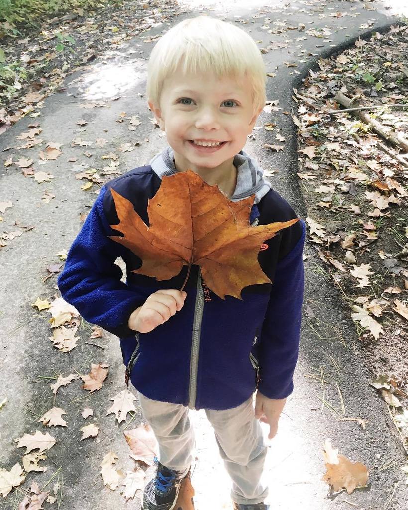 lindsygriffis's tweet photo. When the leaves are bigger than your head. 😍😍😍 #isaaclee #wildandfreechildren #hoursoutdoo… https://t.co/nn13Yrv5fJ https://t.co/xG8qkQMZ2r