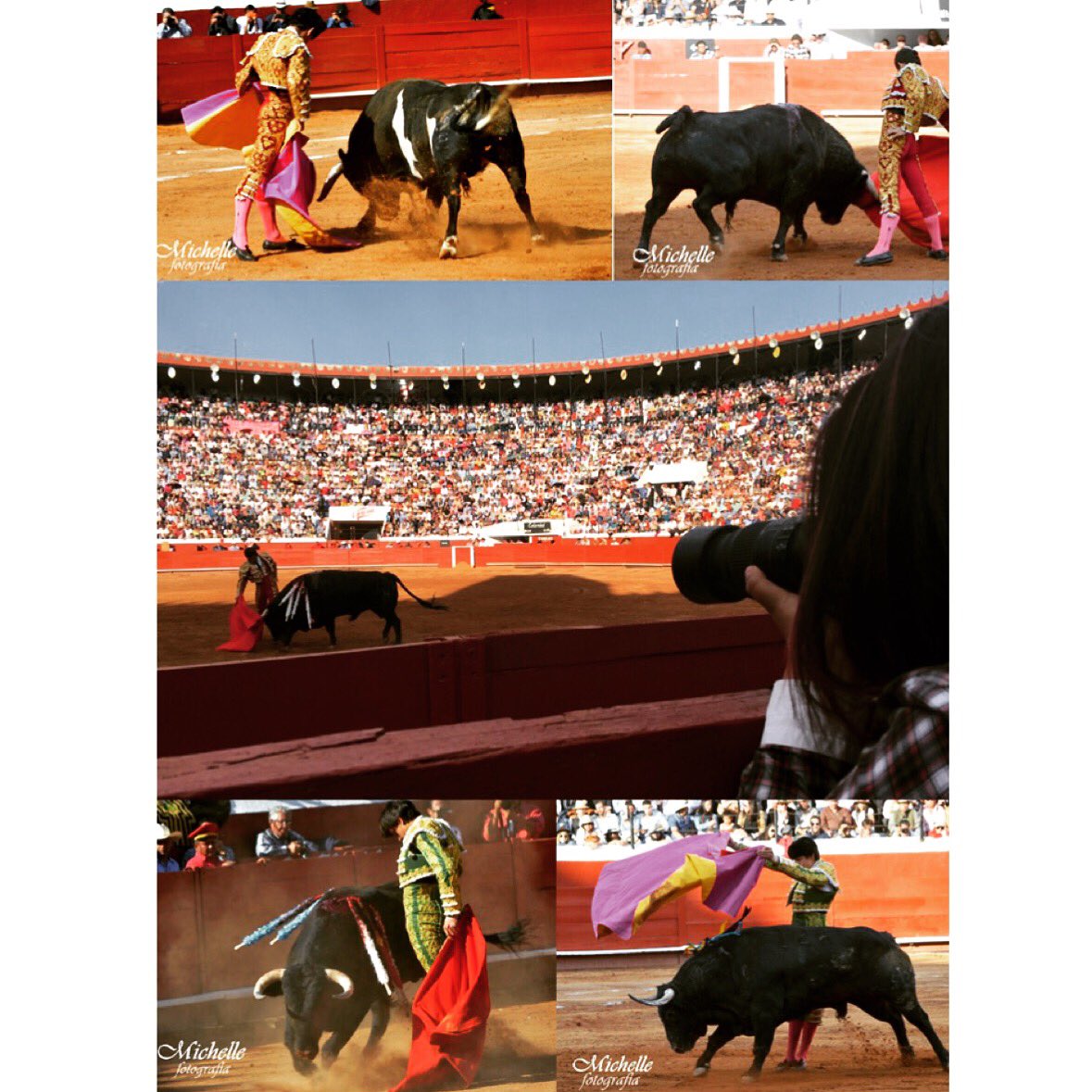 Michelle P. Alanis tweet media