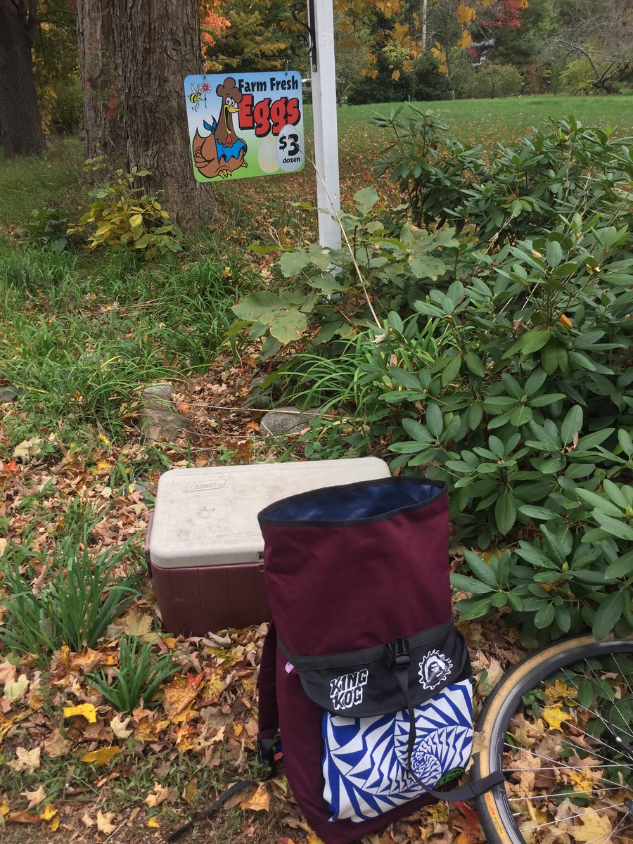 timwill_is's tweet image. Listening to @RinseFM @benufo @hessleaudio on the way home just picked up some eggs in western Massachusetts :)