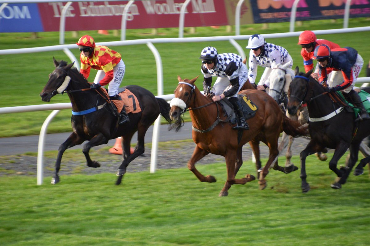 mrossi11's tweet photo. @LisaHar00727967 Nice to see #Presented run so well #carlisleraces GL for the NH Season & everyone at #TeamSolway 👍 https://t.co/n5frqzvl1U