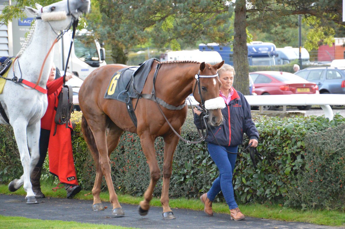 mrossi11's tweet photo. @LisaHar00727967 Nice to see #Presented run so well #carlisleraces GL for the NH Season & everyone at #TeamSolway 👍 https://t.co/n5frqzvl1U