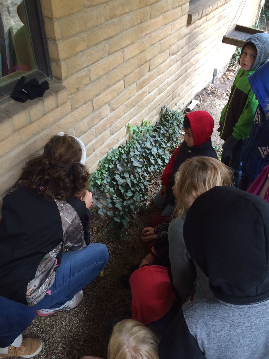 diana_harmony's tweet photo. Dillon Nature Center was great!  Windy and cold, but we learned a lot about spiders!🕷 #UVlearn https://t.co/zxLS0WlJIe