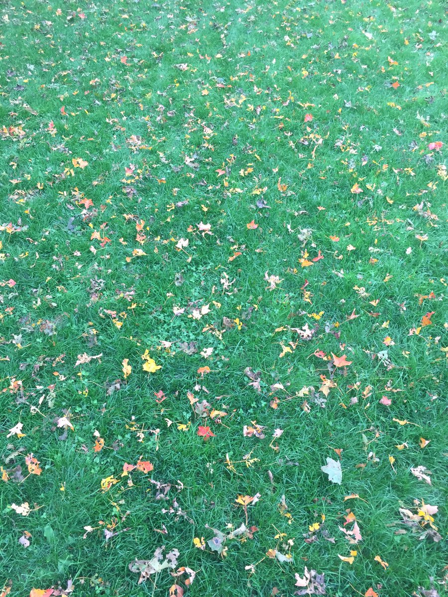 greatlawnUSA's tweet photo. Hate #raking? Try mowing &amp; mulching the #leaves instead. It will return nutrients to your #lawn for its winter nap. #lawncare #fall #usa https://t.co/GVTadQTfyk
