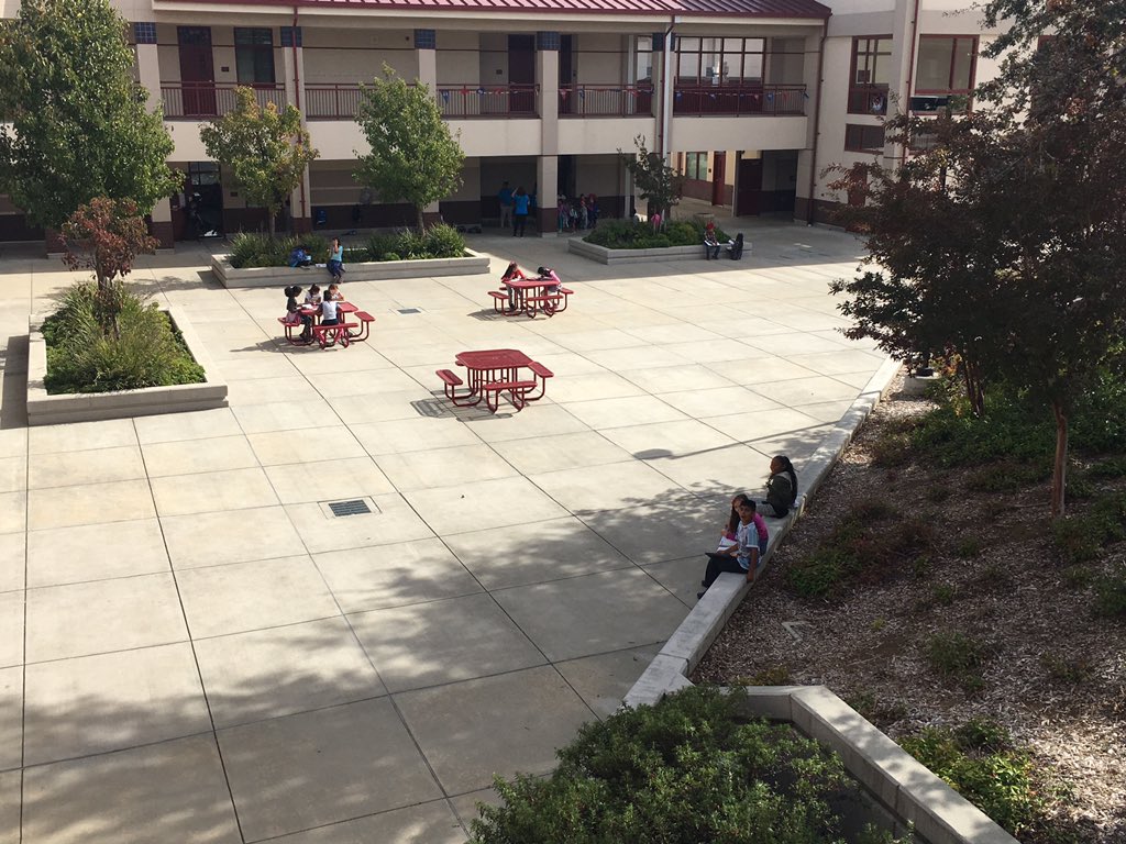 Outdoor learning for 4th grade. #b4rain #studentsinaction @cordeliahills