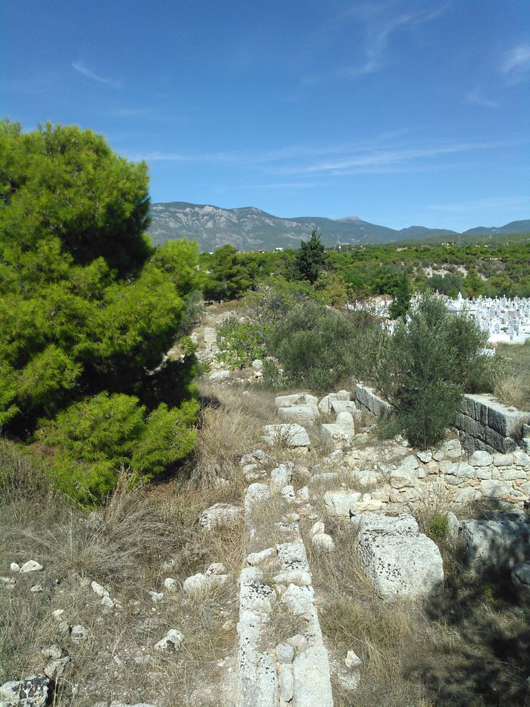 jonmfrey's tweet photo. I've never done parkour but I have walked a Byzantine fortress wall holding a 2m survey pole above my head. Does that count? #MSUdiscovery https://t.co/Ik1BKFyBjS