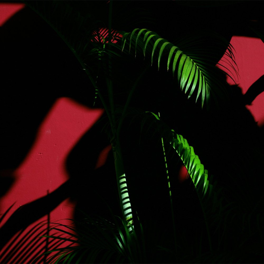 We'll have some big news very soon..