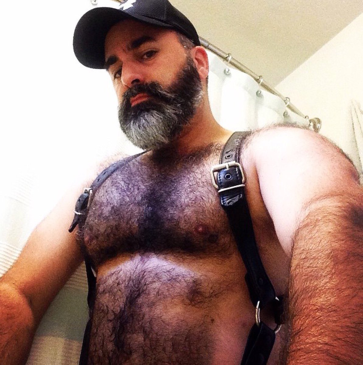 Bearded muscle bears